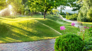 bright green grass